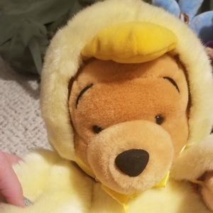 Disney Plush- Pooh in Costume